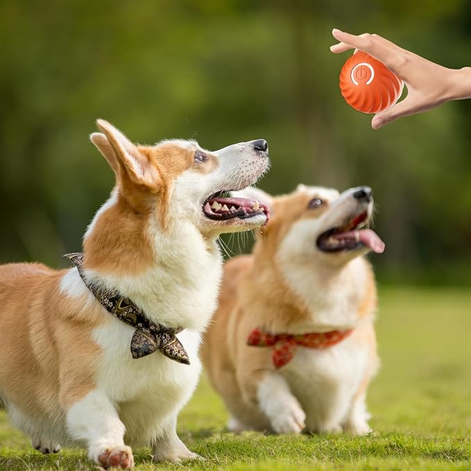 Pet Smart Toy Automatic Bouncing Ball