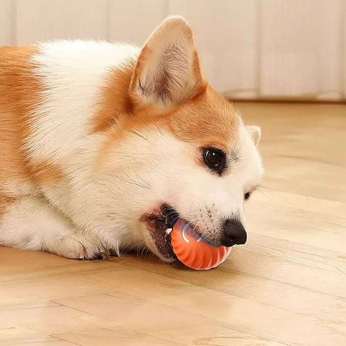 Pet Smart Toy Automatic Bouncing Ball