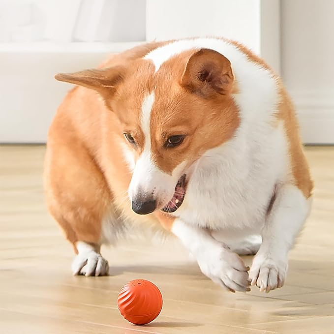 Pet Smart Toy Automatic Bouncing Ball