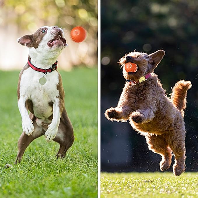 Pet Smart Toy Automatic Bouncing Ball